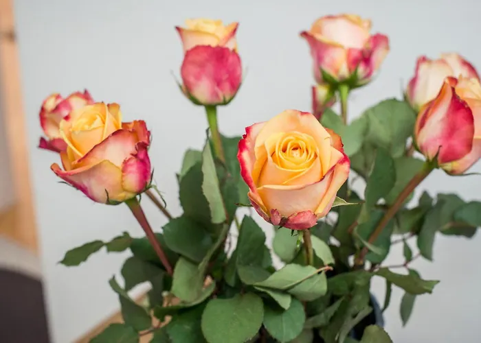 Apartamento Grazbachgasse Graz